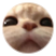 葡萄