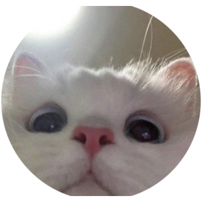 大西瓜