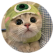 橘子