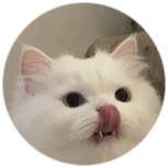 猕猴桃