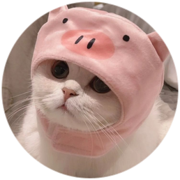 菠萝