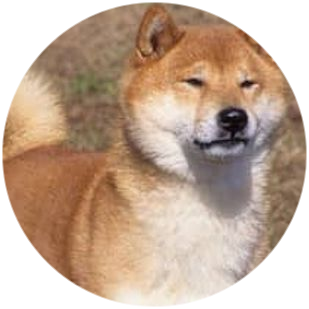 西瓜