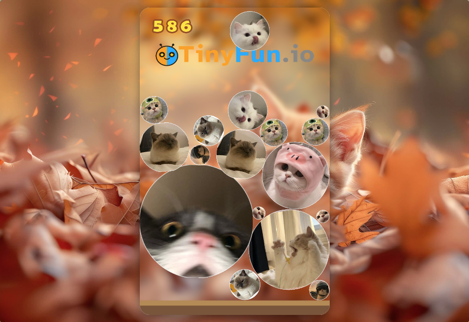 TinyFun Merge Cats