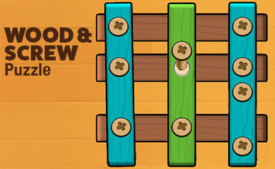 TinyFun Wood Screw Puzzle